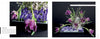 Perishable Poetics by Schiffer Publishing, Ltd. showcases a striking display of deep purple parrot tulips, baby’s breath, and purple blooms, arranged upright and cascading in a rectangular tray against a bold black background.
